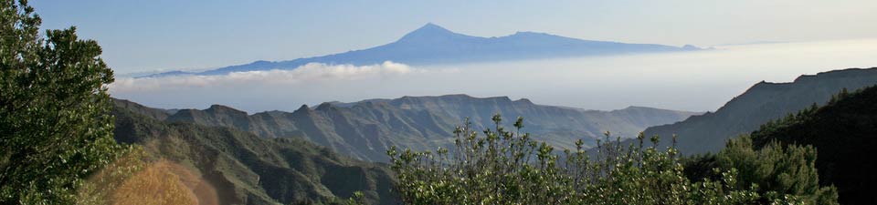 Traumhafte Natur auf La Gomera, hier das Tal von Benchijigua